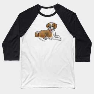 Dog - Aussiedoodle - Brown and White Baseball T-Shirt